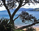Waitete Bay near Colville