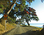 Northern Coromandel Coast Road