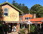 Driving Creek Railway - Living Art