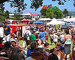 Coromandel Town's Keltic Fair