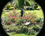 Mountain View B&B