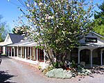 Tui Lodge Backpackers & Accommodation