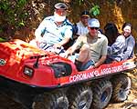 Coromandel Argo Adventure Tours