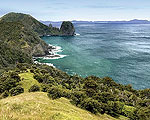 Coromandel Coastal Walkways