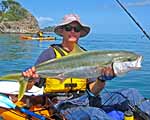Coromandel Kayak Adventures