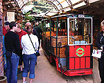 Driving Creek Railway