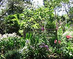 Waitati Gardens