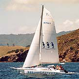 Charter Sailing Coromandel