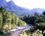 DoC Kauaeranga Valley