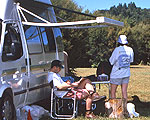 Kauaeranga camping