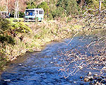 Tapu Creek Campervan Park