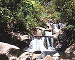 Rapaura in the Tapu Valley