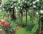 Lyndell Gardens