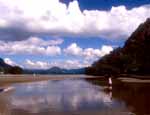 Wharekawa Harbour