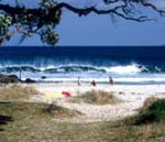 Pauanui Beach