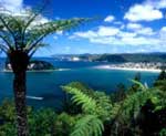 Whangamata Coastline