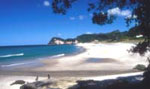 Whiritoa Beach