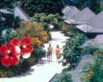 Pacific harbour Lodge