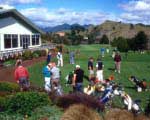 Whangamata Golf Club