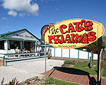 The Cats Pyjamas Backpackers