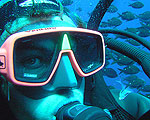 Cathedral Cove Dive and Snorkel