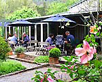 Colenso Cafe & Garden