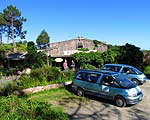 The Purangi Winery
