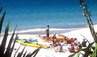Hahei Beach Kayaking