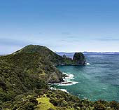 Coromandel Coastal Walkway