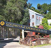 Gold Mine Tours & Stamper Battery