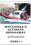 Whitianga's Ultimate Breakaway