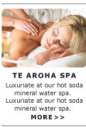 Te Aroha Spa