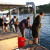 Mussell barge fishing