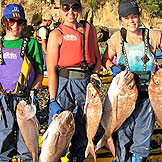 Coromandel charter fishing