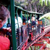 Driving Creek Railway