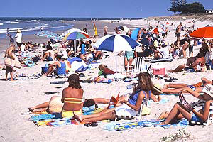 Whangamata Beach