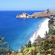 Hahei Beach