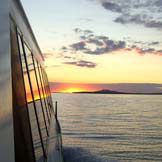 Coromandel Ferry