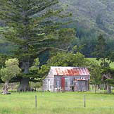 Bush Motel