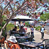 Coromandel cafes