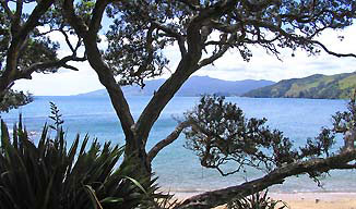 Coromandel Coast