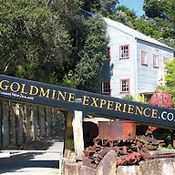 Gold Mine Tour Thames