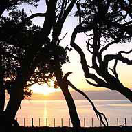 Coromandel Scenery