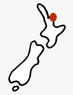 NZ Map