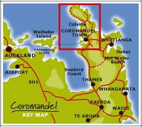 Coromandel Town Region