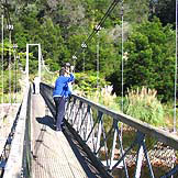 Karangahake Gorge guided walks