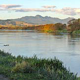 Wairoa River Cruises