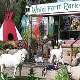 Coromandel Farm Parks