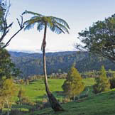 Coromandel Hills Scenery