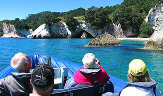 Whitianga Sea Tours